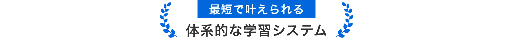 最短で叶えられる体系的な学習システム