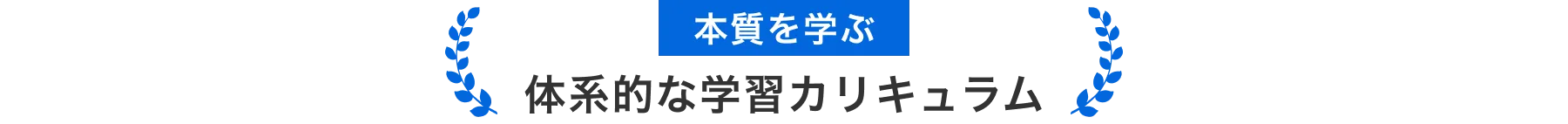 本質を学ぶ体系的な学習カリキュラム